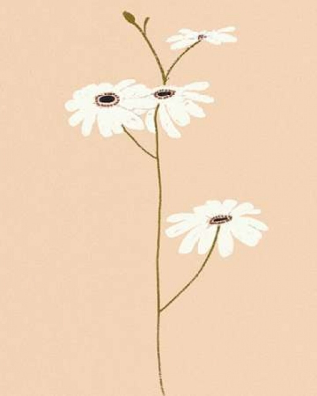 Serene Florals I Poster Print by Design Show - Item # VARPDX49198